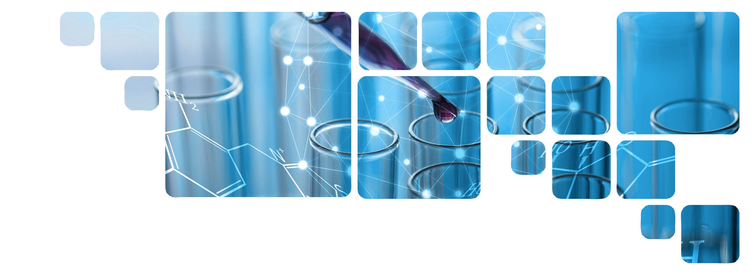 Baner Toksykologia